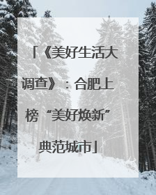 《美好生活大调查》：合肥上榜“美好焕新”典范城市