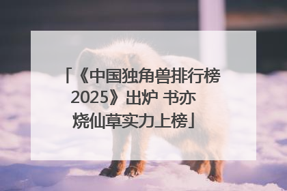 《中国独角兽排行榜2025》出炉 书亦烧仙草实力上榜