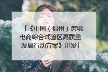 《中国（福州）跨境电商综合试验区高质量发展行动方案》印发