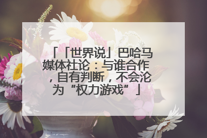 「世界说」巴哈马媒体社论：与谁合作，自有判断，不会沦为“权力游戏”