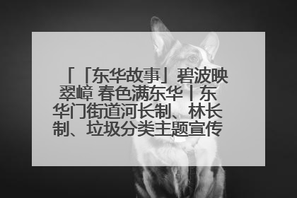「东华故事」碧波映翠嶂 春色满东华丨东华门街道河长制、林长制、垃圾分类主题宣传如火如荼中