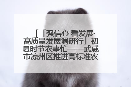 「强信心 看发展·高质量发展调研行」初夏时节农事忙——武威市凉州区推进高标准农田建设见闻