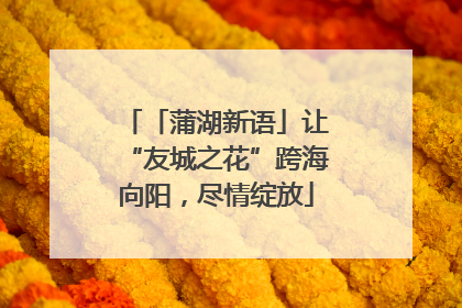 「蒲湖新语」让“友城之花”跨海向阳，尽情绽放