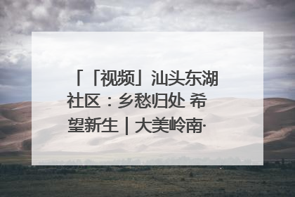 「视频」汕头东湖社区：乡愁归处 希望新生｜大美岭南·百村焕新记