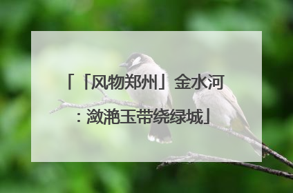 「风物郑州」金水河：潋滟玉带绕绿城