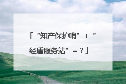 “知产保护哨”+“经盾服务站”=？