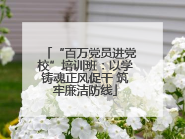 “百万党员进党校”培训班：以学铸魂正风促干 筑牢廉洁防线
