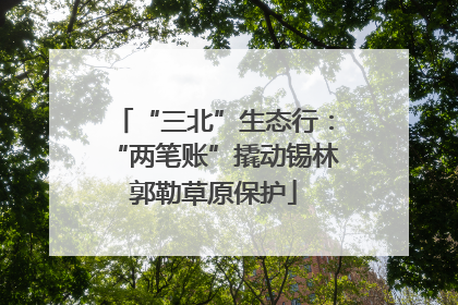 “三北”生态行：“两笔账”撬动锡林郭勒草原保护