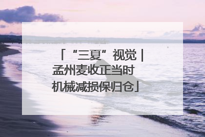 “三夏”视觉｜孟州麦收正当时 机械减损保归仓