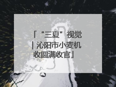 “三夏”视觉｜沁阳市小麦机收圆满收官
