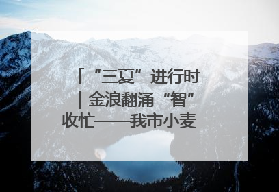 “三夏”进行时｜金浪翻涌“智”收忙——我市小麦开镰收割见闻