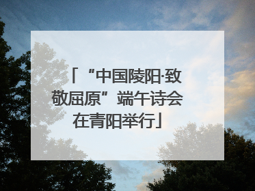 “中国陵阳·致敬屈原”端午诗会在青阳举行