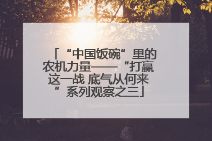 “中国饭碗”里的农机力量——“打赢这一战 底气从何来”系列观察之三