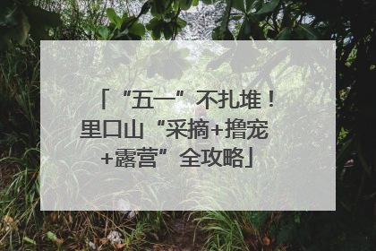 “五一”不扎堆！里口山“采摘+撸宠+露营”全攻略
