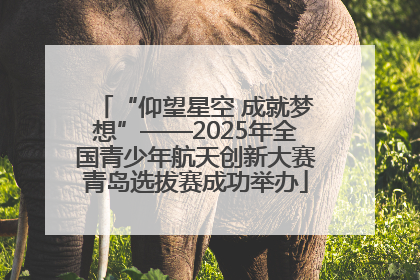 “仰望星空 成就梦想”——2025年全国青少年航天创新大赛青岛选拔赛成功举办