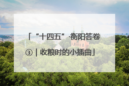 “十四五”·衡阳答卷③｜收粮时的小插曲