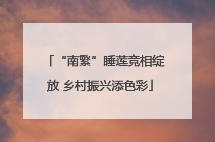 “南繁”睡莲竞相绽放 乡村振兴添色彩