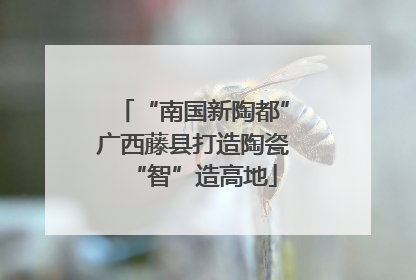 “南国新陶都”广西藤县打造陶瓷“智”造高地