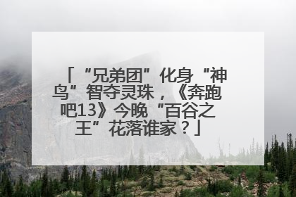 “兄弟团”化身“神鸟”智夺灵珠，《奔跑吧13》今晚“百谷之王”花落谁家？