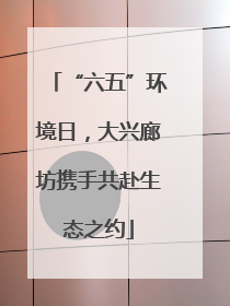 “六五”环境日，大兴廊坊携手共赴生态之约
