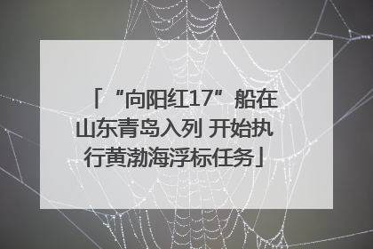 “向阳红17”船在山东青岛入列 开始执行黄渤海浮标任务