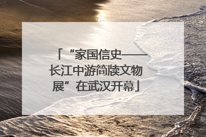 “家国信史——长江中游简牍文物展”在武汉开幕