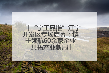 “宁工品推”江宁开发区专场启幕：链主领航60余家企业共拓产业新局