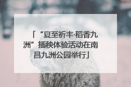“夏至祈丰·稻香九洲”插秧体验活动在南昌九洲公园举行