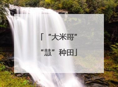 “大米哥”“慧”种田