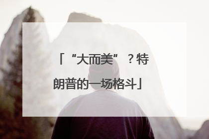 “大而美”？特朗普的一场格斗