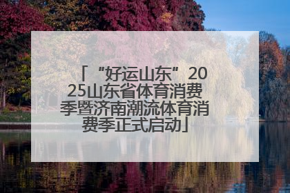 “好运山东”2025山东省体育消费季暨济南潮流体育消费季正式启动