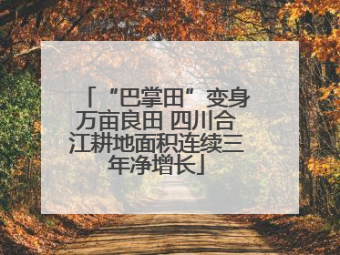 “巴掌田”变身万亩良田 四川合江耕地面积连续三年净增长