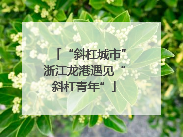 “斜杠城市”浙江龙港遇见“斜杠青年”