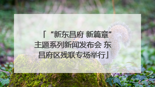“新东昌府 新篇章”主题系列新闻发布会 东昌府区残联专场举行