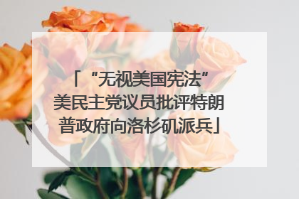 “无视美国宪法” 美民主党议员批评特朗普政府向洛杉矶派兵