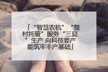 “智慧农机”“整村托管”服务“三夏”生产 向科技要产能筑牢丰产基础