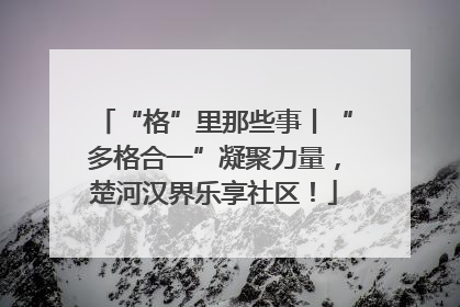 “格”里那些事丨“多格合一”凝聚力量，楚河汉界乐享社区！
