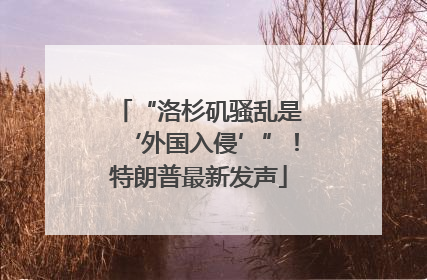 “洛杉矶骚乱是‘外国入侵’”！特朗普最新发声