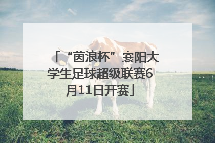 “茵浪杯”襄阳大学生足球超级联赛6月11日开赛