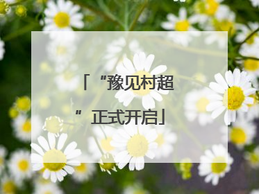 “豫见村超”正式开启
