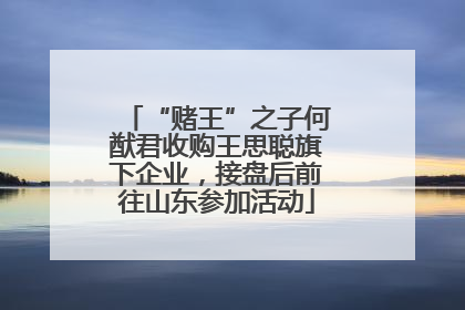 “赌王”之子何猷君收购王思聪旗下企业，接盘后前往山东参加活动