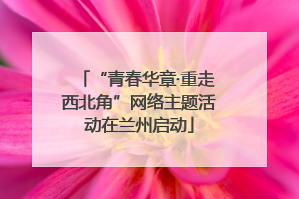 “青春华章·重走西北角”网络主题活动在兰州启动