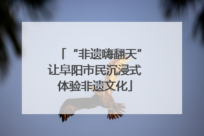 “非遗嗨翻天”让阜阳市民沉浸式体验非遗文化