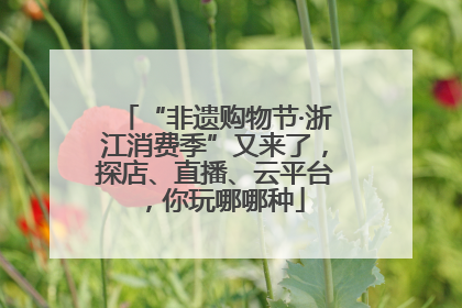 “非遗购物节·浙江消费季”又来了，探店、直播、云平台，你玩哪哪种