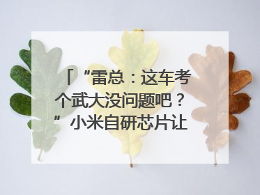 “雷总：这车考个武大没问题吧？”小米自研芯片让YU7会学习｜汽车科技