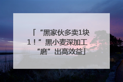 “黑家伙多卖1块1！”黑小麦深加工“磨”出高效益