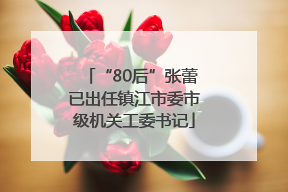 “80后”张蕾已出任镇江市委市级机关工委书记