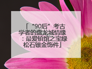 “90后”考古学者的盘龙城情缘：最爱镇馆之宝绿松石镶金饰件
