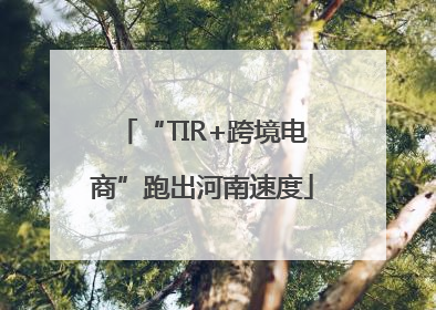 “TIR+跨境电商”跑出河南速度