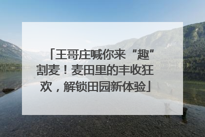 王哥庄喊你来“趣”割麦！麦田里的丰收狂欢，解锁田园新体验